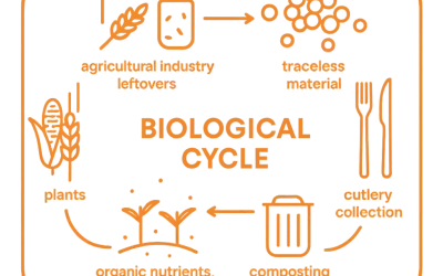 Kreislaufwirtschaft neu gedacht: Schluss mit Recycling-Lügen