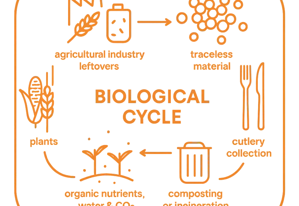 Kreislaufwirtschaft neu gedacht: Schluss mit Recycling-Lügen