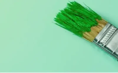 Greenwashing-Alarm: Warum ‚biologisch abbaubar‘ oft eine Lüge ist