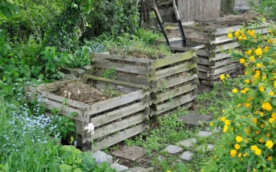 Die PLA-Revolution: Warum Home-Kompostierbarkeit alles ändert